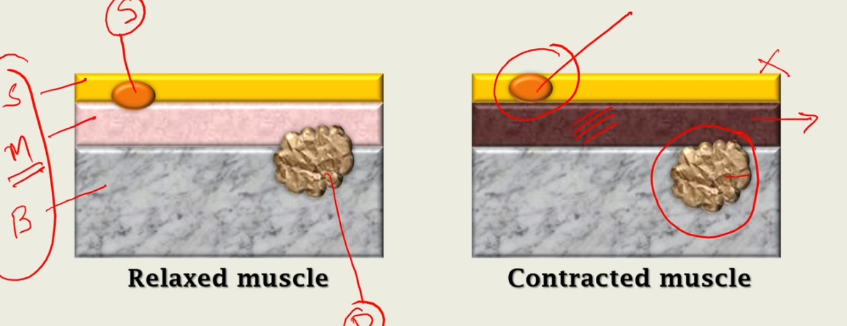 Pasted image 20260425173408.png222